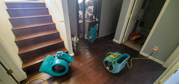 Odor Removal and Sanitization After Water Damage